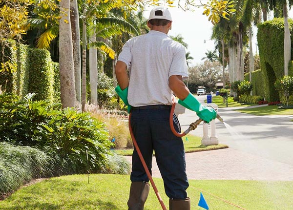 About Chesterfield VA Pest Control Pros